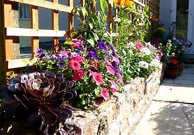 The Somerville