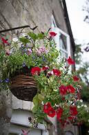 The Amberley Inn