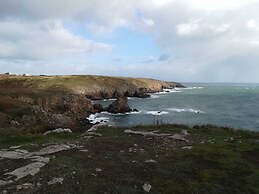 Le Goyen