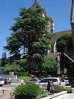 Citotel Le Cedre