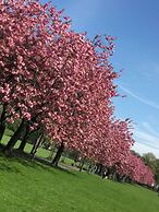 Edinburgh 37