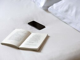 ibis Albi