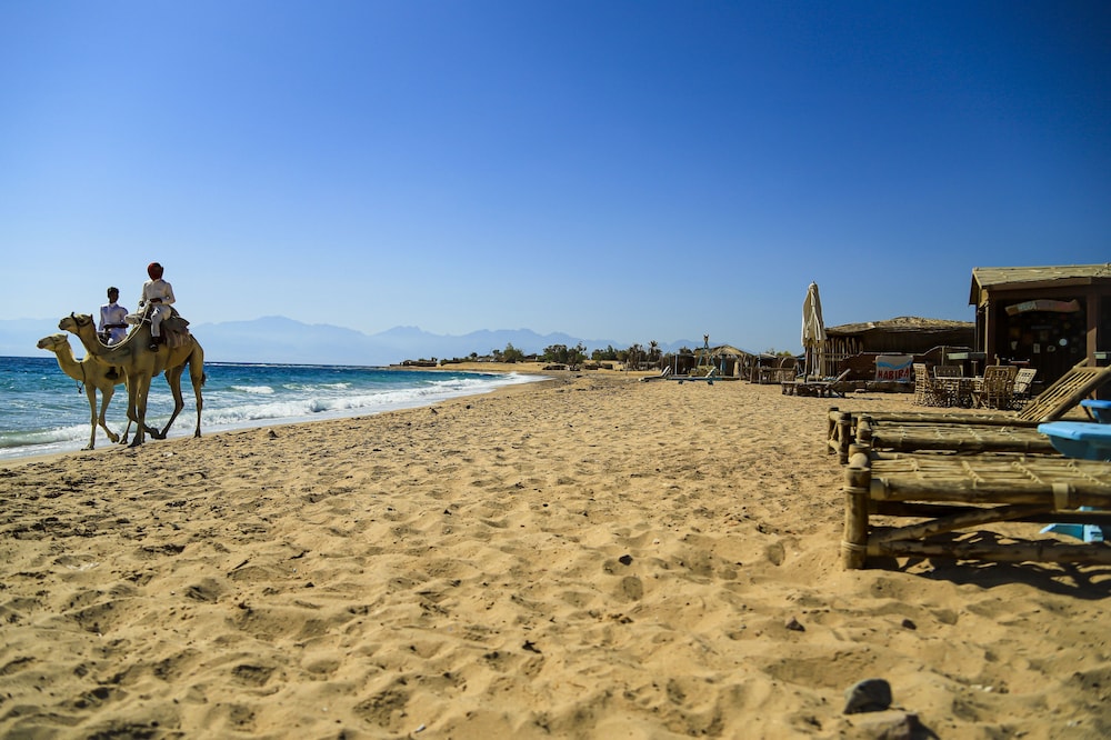 Habiba Beach Lodge