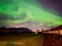 Hotel Hamar