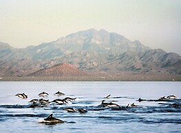 Loreto Bay Golf & Sea at Baja