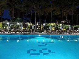 Hotel Greif