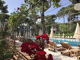 Hotel Greif