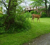 Braeside Country Inn