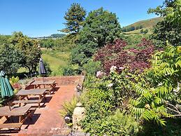 Bron-y-Graig