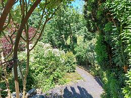 Bron-y-Graig