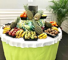 Hotel TRH Paraiso