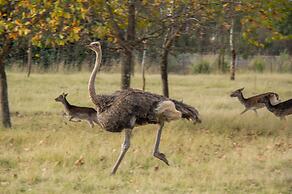 Airport Bird & Game Lodge
