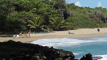Cabarete Boutique Ecolodge Beachfront