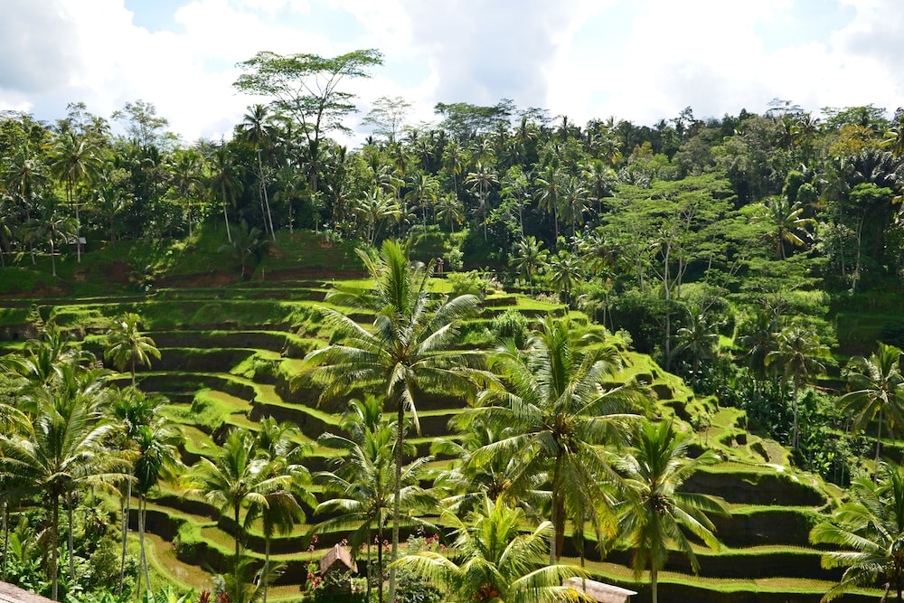 Viceroy Bali