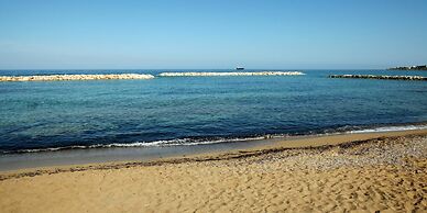 Venus Beach Hotel