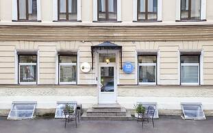 Nevsky Aster