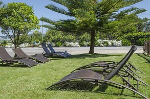 Delfin Azul