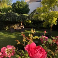 Hôtel Des Cèdres