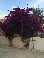 Villa Amico B&B