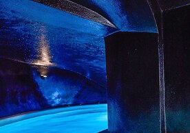 Dana Villas & Infinity Suites