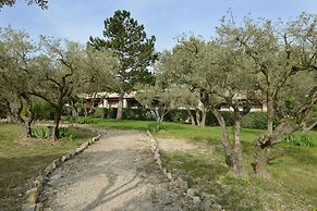 Villa Glanum