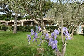Villa Glanum