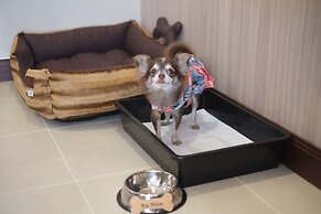 Grand Mercure Bangkok Asoke Residence