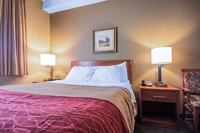 Comfort Inn & Suites