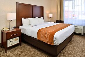 Comfort Inn & Suites Madison North