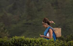 Heritance Tea Factory