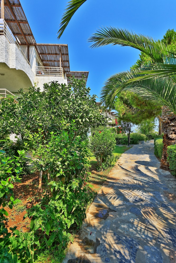 Apollonia Beach Resort & Spa