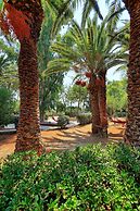 Apollonia Beach Resort & Spa