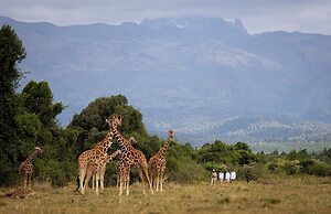 Fairmont Mount Kenya Safari