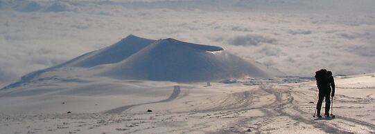 Il Nido dell'Etna