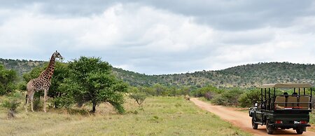Mabula Game Lodge
