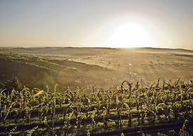 LOISIUM Wine & Spa Hotel Langenlois