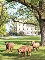 Chateau Mcely