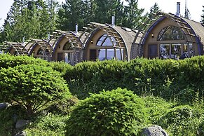 Mineral Springs Resort