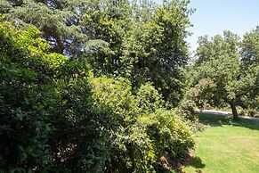 Hacienda ForestView