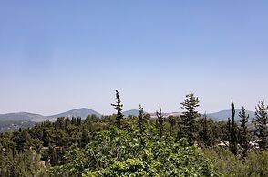 Hacienda ForestView