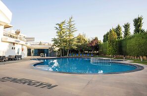 Dedeman Konya Hotel And Convention Center