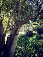 Bayswater Lodge