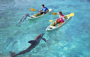 The Cove at Atlantis