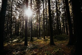 Sonnenhotel Hoher Hahn