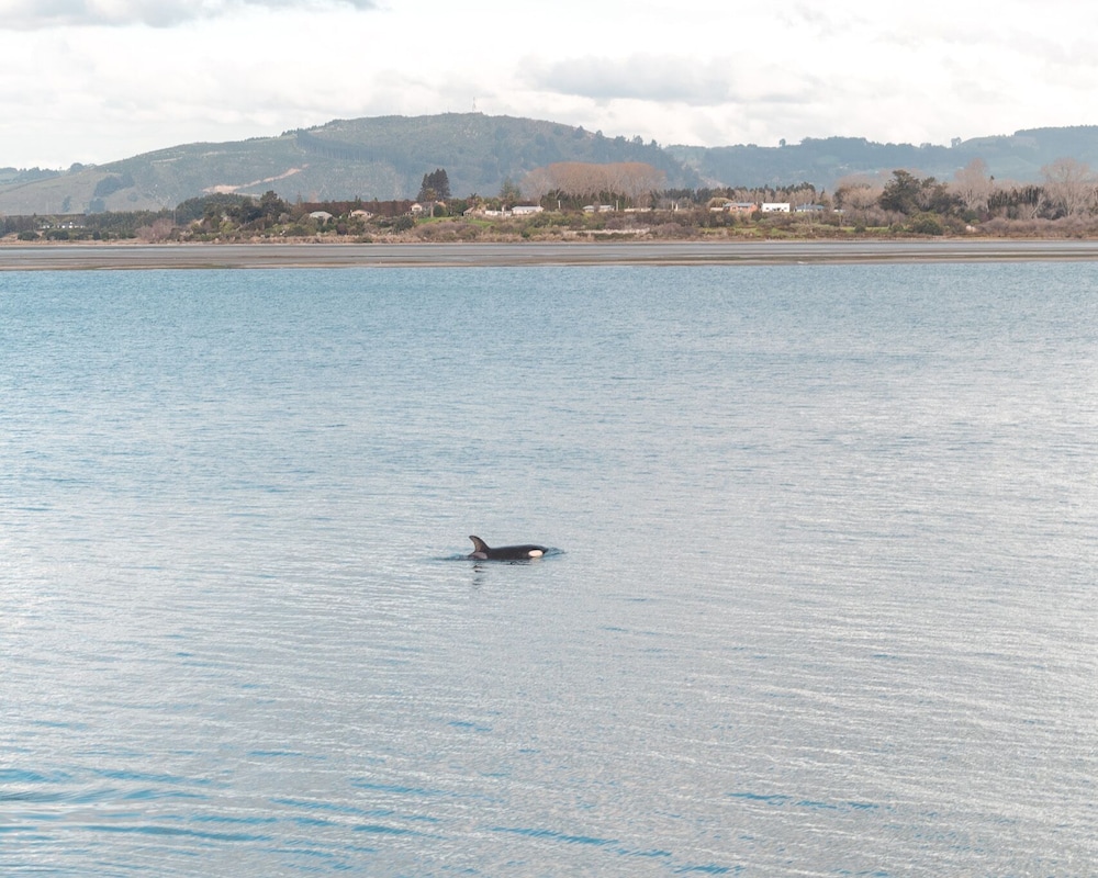 Trinity Wharf Tauranga
