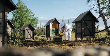 Lapland Hotels Pallas