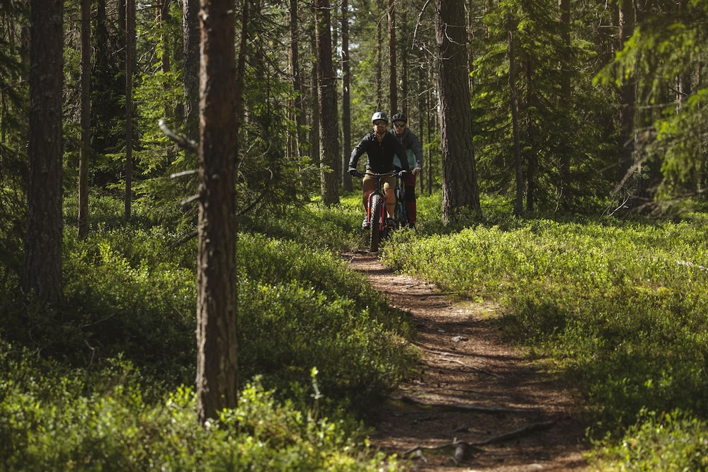 Lapland Hotels Akashotelli