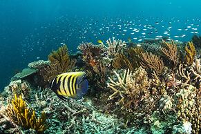 Heron Island Resort