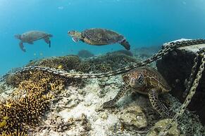 Heron Island Resort