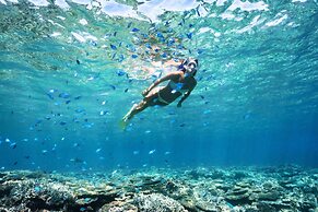 Heron Island Resort